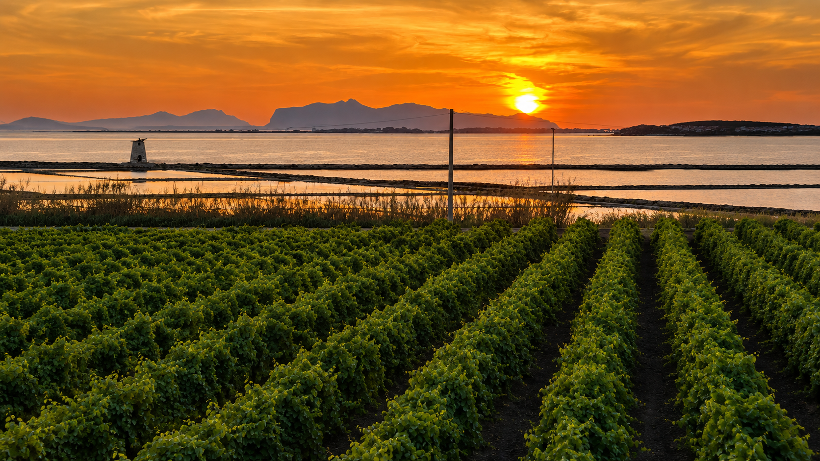 Cantina Alcesti e vigneti al tramonto sulle saline di Marsala